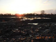 DSCN8921.JPG
