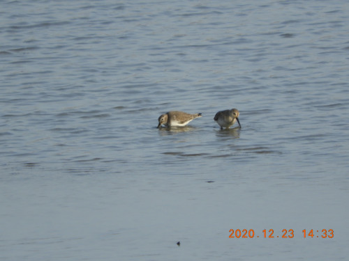 DSCN8937.JPG