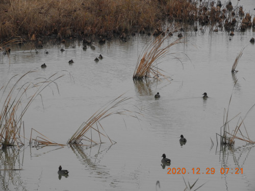 DSCN8958.JPG