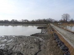 DSCN8975.JPG