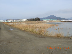 DSCN8988.JPG