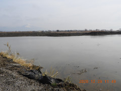 DSCN8990.JPG