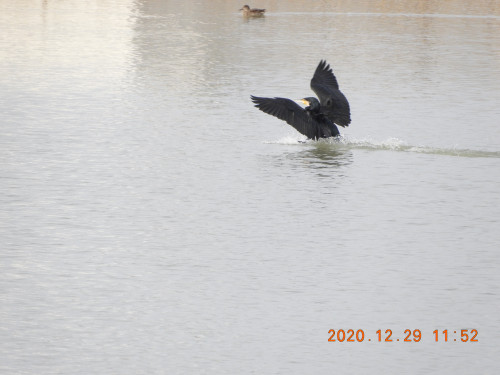 DSCN8994.JPG