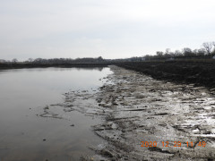 DSCN8991.JPG