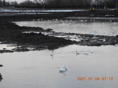 DSCN9066.JPG