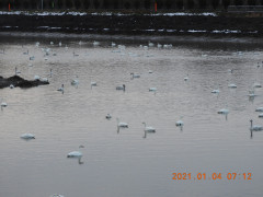 DSCN9067.JPG
