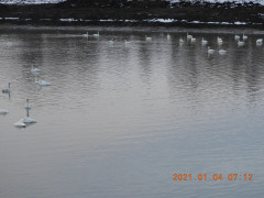 DSCN9068.JPG