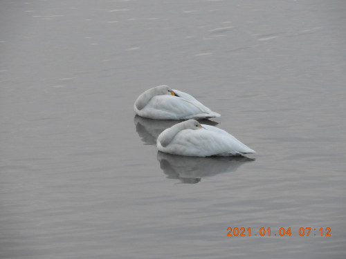 DSCN9070.JPG