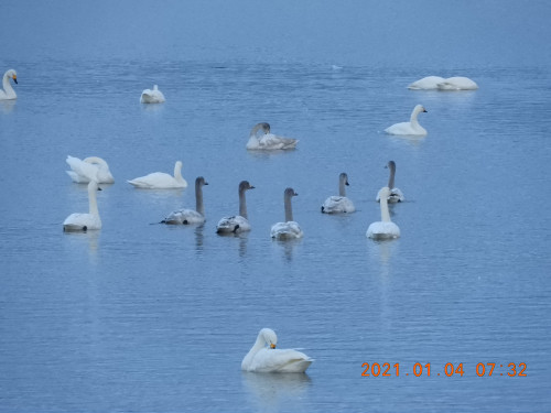 DSCN9093.JPG