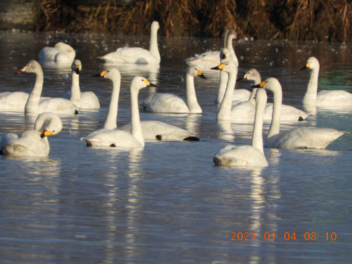 DSCN9166.JPG