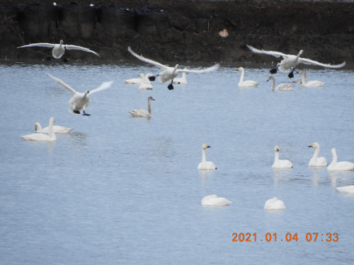 DSCN9096.JPG