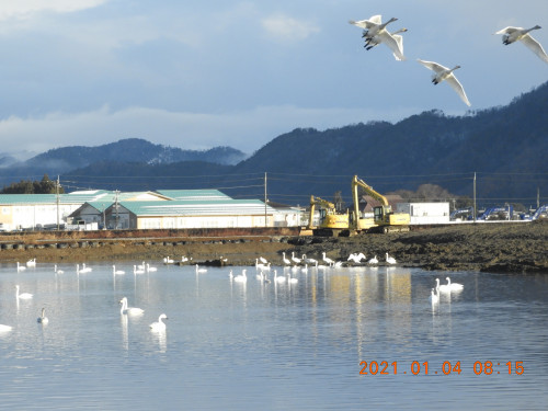 DSCN9172.JPG
