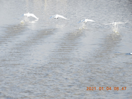 DSCN9215.JPG