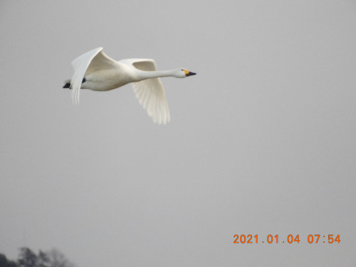 DSCN9135.JPG