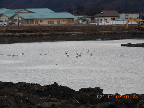 DSCN9251.JPG