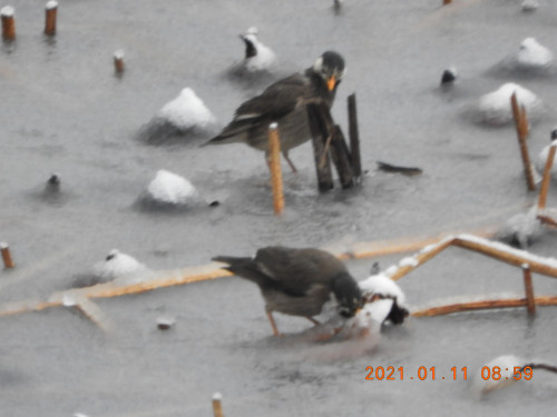 DSCN9414.JPG