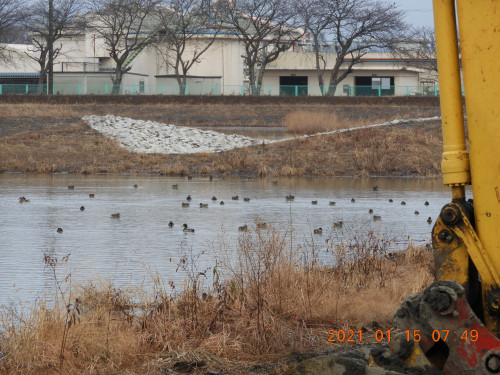 DSCN9450.JPG