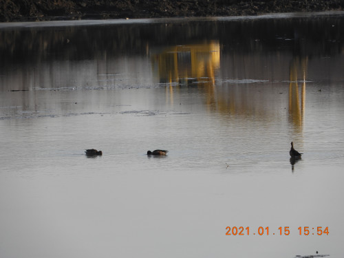 DSCN9461.JPG
