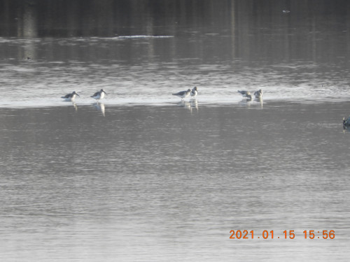 DSCN9463.JPG