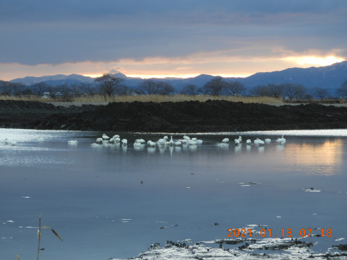DSCN9490.JPG