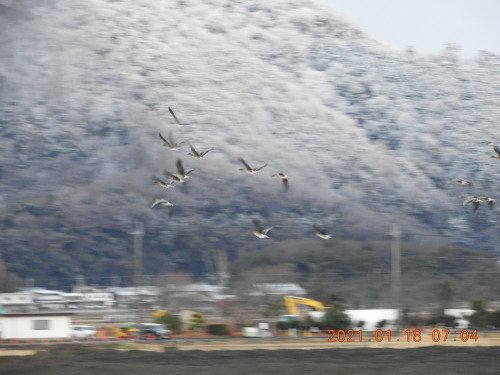 DSCN9479.JPG