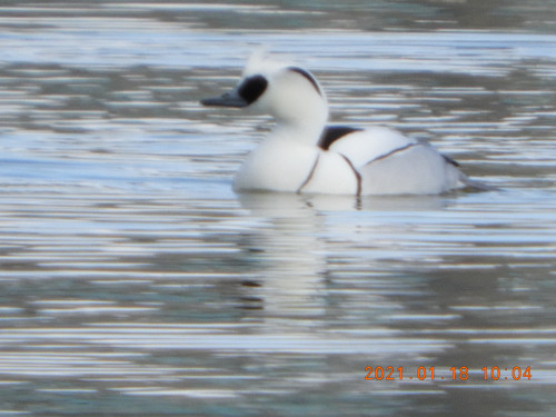 DSCN9509.JPG