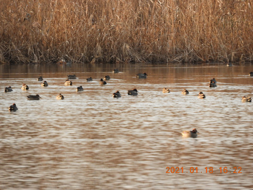 DSCN9523.JPG