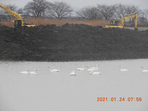 DSCN9554.JPG
