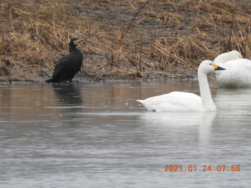 DSCN9556.JPG