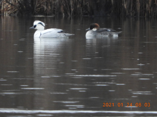 DSCN9559.JPG