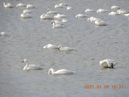 DSCN9564.JPG