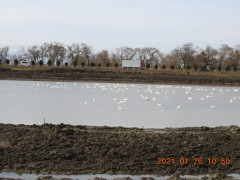 DSCN9566.JPG