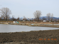 DSCN9568.JPG
