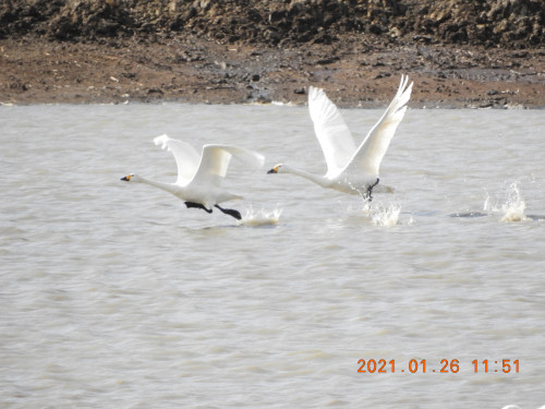 DSCN9628.JPG