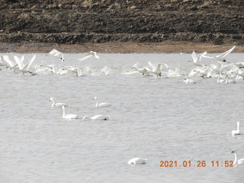 DSCN9635.JPG