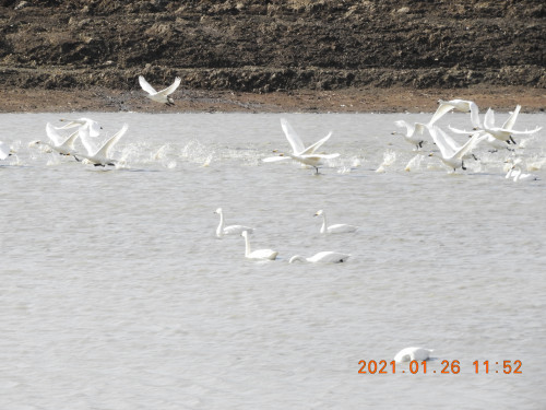 DSCN9636.JPG