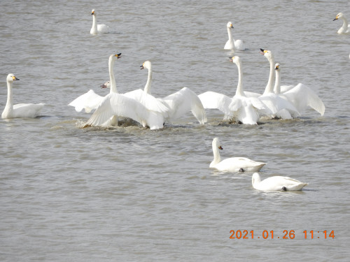DSCN9601.JPG
