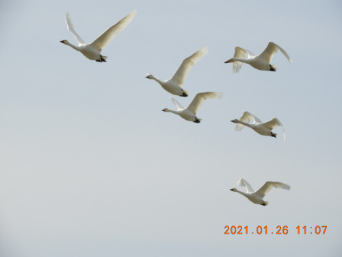 DSCN9592.JPG