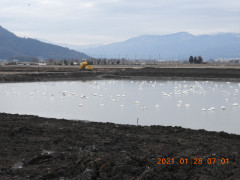 DSCN9668.JPG