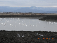 DSCN9669.JPG