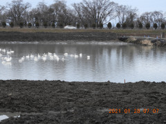 DSCN9672.JPG