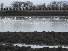 DSCN9673.JPG