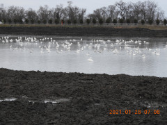 DSCN9674.JPG