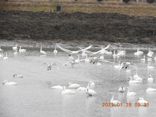 DSCN9681.JPG