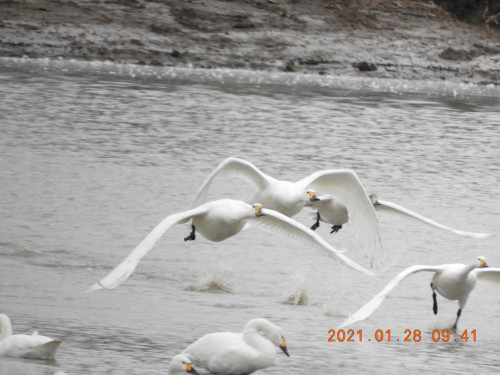 DSCN9697.JPG