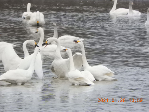 DSCN9777.JPG