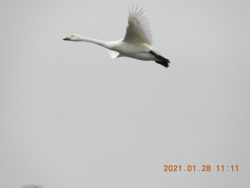 DSCN9781.JPG