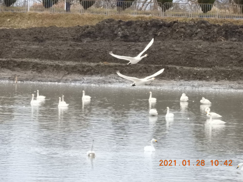 DSCN9745.JPG