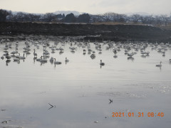 DSCN9855.JPG