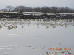 DSCN9857.JPG